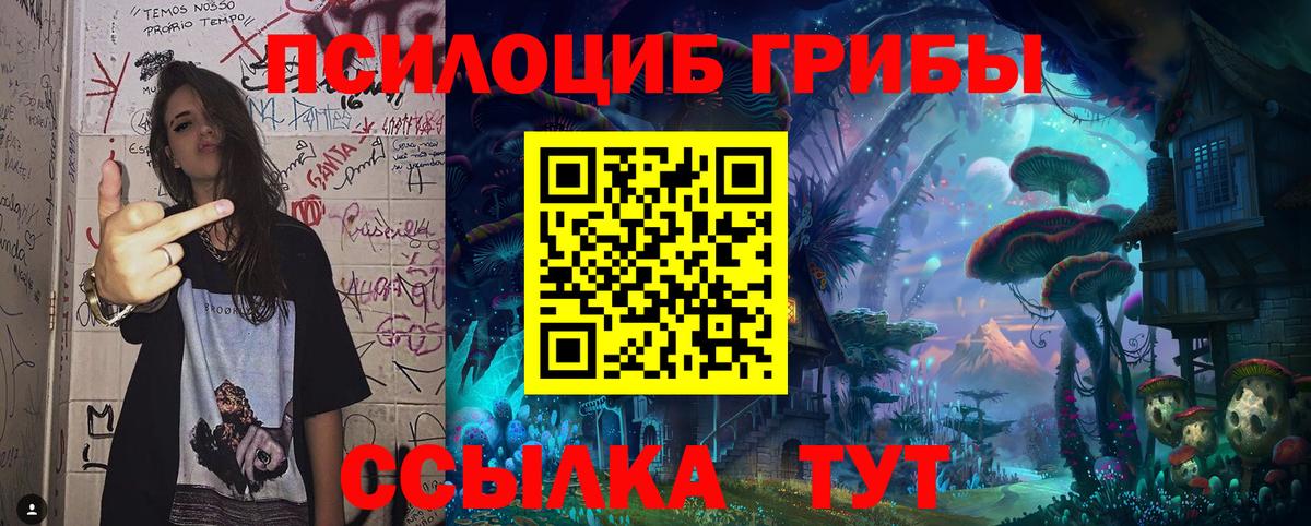 Псилоцибиновые грибы мицелий  Вход с VPN  Клинцы 