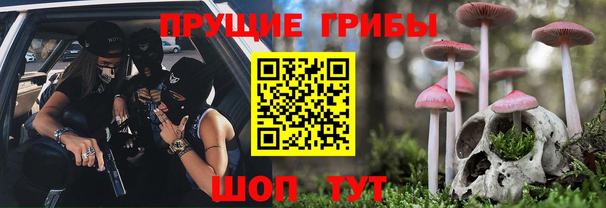 Псилоцибиновые грибы GOLDEN TEACHER Клинцы